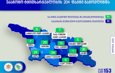 უკანონო ტყითსარგებლობის 204 ფაქტიდან 34 კახეთში დაფიქსირდა 