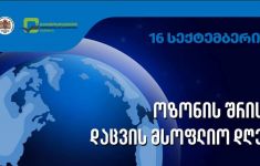 საქართველომ ოზონდამშლელი ნივთიერებების მოხმარება ვადაზე ადრე შეამცირა